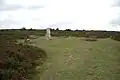 La lande d'Ede