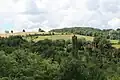 Belić - panorama
