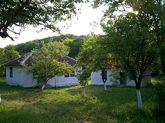 Belja