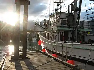 Bella Coola