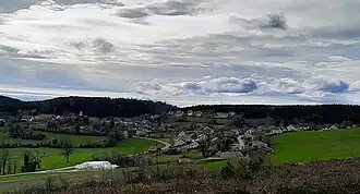 Belleherbe