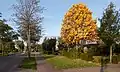 Bemmel, vue sur la rue: la Ressensesstraat
