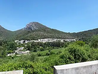 Benamahoma