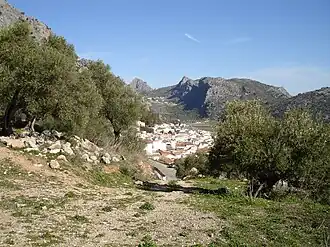 Benaoján