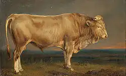 Bœuf.