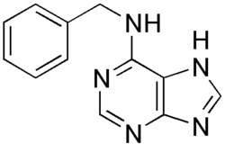 Image illustrative de l’article Benzyl adénine
