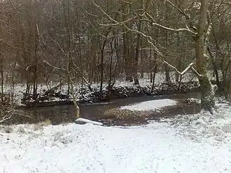 Berčinac