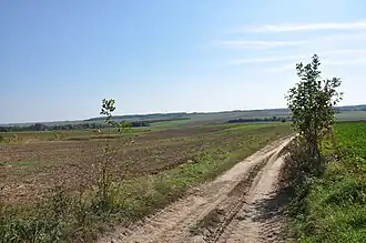 Bereść