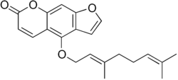 Image illustrative de l’article Bergamottine