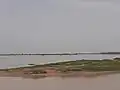 Berge d'hippopotames à Zébé Marao Cameroun