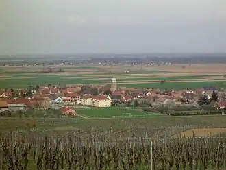Bergholtz