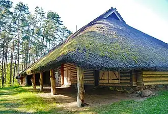 Vidzene.