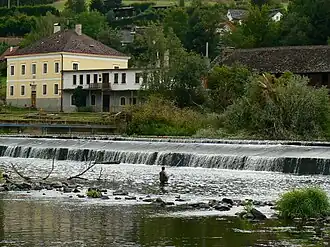 Zvíkovec