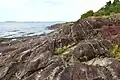 Littoral de Berthier-sur-Mer en 2016.