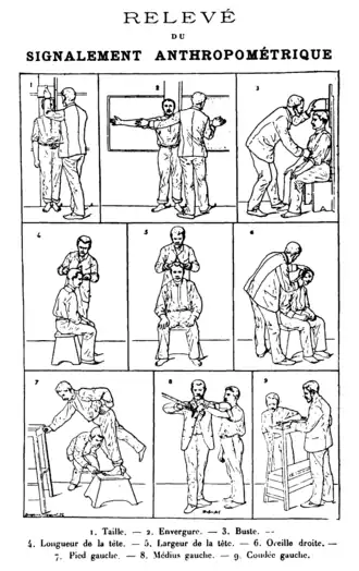 Relevé du signalement anthropométrique.Planche parue dans Identification anthropométrique (1893).