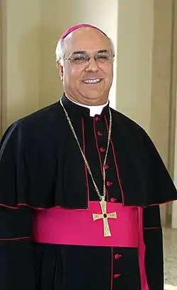 Image illustrative de l’article Vincenzo Bertolone