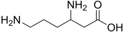 Image illustrative de l’article Bêta-Lysine
