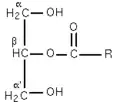 Fig 1 : β-monoglycéride.
