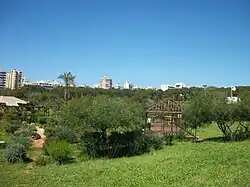 Centre du parc