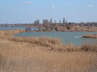 Bačko Gradište