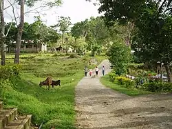 Barangay de Biabas.