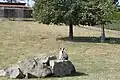 La ménagerie.