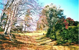 Le parc.