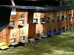 Ruches en bois