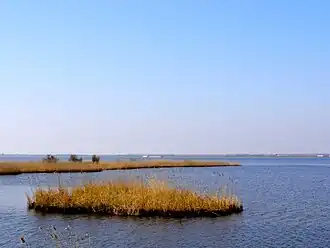 Image illustrative de l’article Zwarte Meer