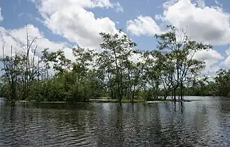 Oostelijke Polders