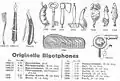 Bigotphones allemands 1930.