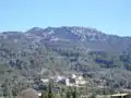 Binibassí.