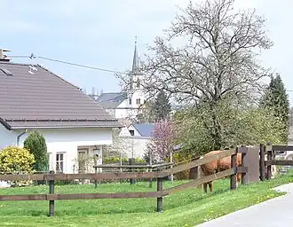 Binsfeld
