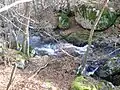 Le ruisseau en aval de la vallée glaciaire (altitude : environ 1&nbsp;050&nbsp;m).