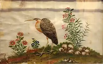 Oiseau et fleurs.