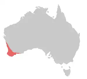 Description de l'image Bird range for Calyptorhynchus latirostris-8.png.