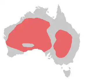 Cacatua leadbeateri