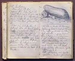 Texte manuscrit.