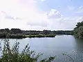 Un bras du Vieux Rhin.