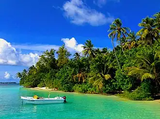 Biyaadhoo