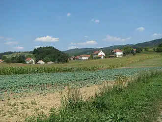 Bjelotići
