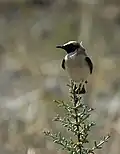 ..en Andalousie