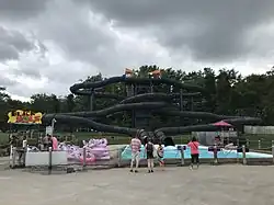 Black Hole
