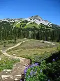 Black Tusk Meadows