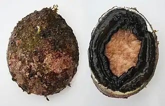Description de cette image, également commentée ci-après