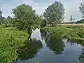 Le canal Chelmer et Blackwater.