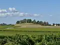 Site de l'ancien château de Blaignan.