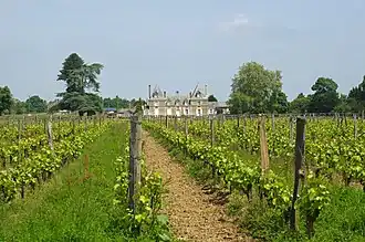 Le château de Bois-Brinçon.