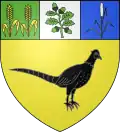 Blason de Pizay