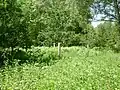 Clôture dans le site de l'ancien camp